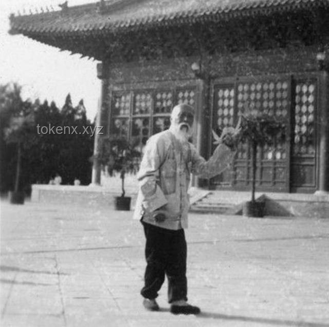 虽人穷但志不穷：萤火突击的东山再起之路与猛攻季深度解析